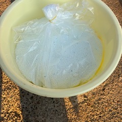 無料！早い者勝ち！未開封粉末洗剤差し上げますの画像