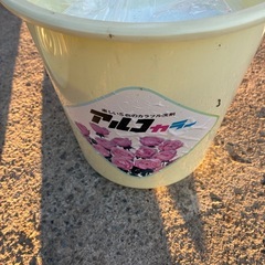 無料！早い者勝ち！未開封粉末洗剤差し上げますの画像