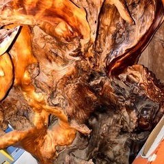 オブジェ　木　龍の画像