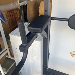 懸垂機です!!綺麗です!!の画像