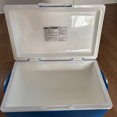クーラーボックス　２２Lの画像