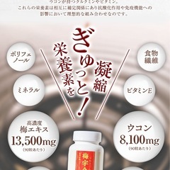 梅宇金 うめうこん　サプリメント 90粒　新品未使用
の画像