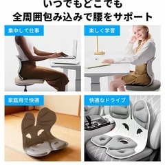 【抱き合わせ割引あり】【新品未使用】腰サポートクッションの画像