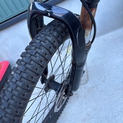 20インチ　マウンテンバイク
の画像