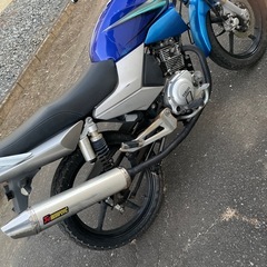 ヤマハ　YBR125の画像