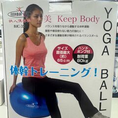 ★リユースのサカイ千葉中央店★ 鉄人俱楽部 健康器具・バランスボール  クリーニング済み TC5846の画像