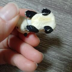 廃盤？　アニア　パンダ　子供　こども　動物の画像