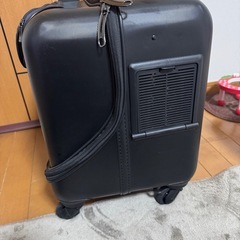 GEX OSOTOペット
キャリー⭐︎美品ですの画像