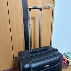 GEX OSOTOペット
キャリー⭐︎美品ですの画像