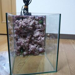 ショップオリジナル擬岩水槽（背面濾過）+LEDランプ（おまけ）の画像