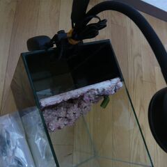 ショップオリジナル擬岩水槽（背面濾過）+LEDランプ（おまけ）の画像