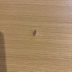 大型こたつ80センチ120センチハロゲンヒーターの画像