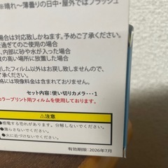 あのころのカメラだっちたまごっちの画像