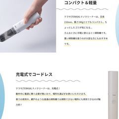 テラサ　ナノクリーナーの画像