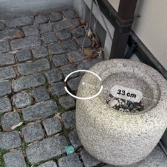 庭のインテリアの画像