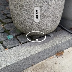 庭のインテリアの画像