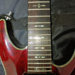 シェクター C-7 HellRaiser [AD-C-7-HR] (BCH)の画像