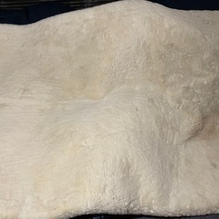 ニトリカーペットの画像