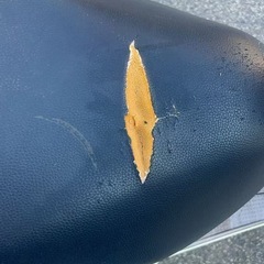 HONDA　チェスタの画像