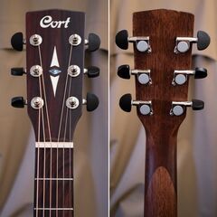 Cort Eaerth70 LVBS 2014年 極上の画像