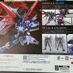 ですデスティニーの画像