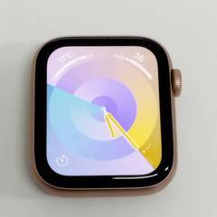 Apple Watch SE 第1世代/GPS+セルラー/44mm/A2356/ゴールド〈MKTG3J/A〉の画像