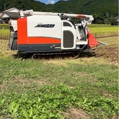 《農家直売》新米令和7年佐賀県産新品種『ひなたまる』玄米30Kgの画像