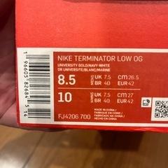 NIKE ターミネーター
の画像