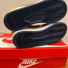 NIKE ターミネーター
の画像