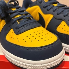 NIKE ターミネーター
の画像