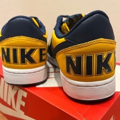 NIKE ターミネーター
の画像