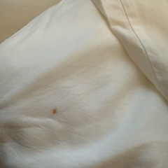 コアラマットレス　掛け布団　ダブル　3点セットの画像