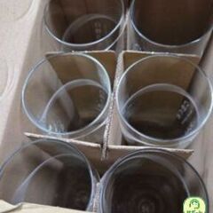 白穂乃香グラス無料で差し上げますの画像