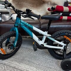 大阪府の14インチの中古が安い！激安で譲ります・無料であげます