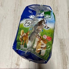 オムツ 小型〜中型犬用の画像