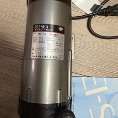 レイシー401の画像