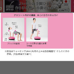 THRIVE/スライヴ】 乗るだけで体幹トレーニング バランスボーイ の画像