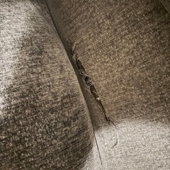 「早い方‼️」ソファ　グレー　の画像