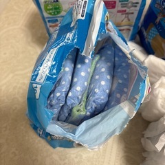 犬用（男の子）の画像