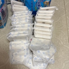 犬用（男の子）の画像