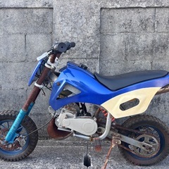 ❇️ポケバイ 現状5000円❗️❇️の画像