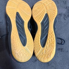 バレーシューズ　ジャパンの画像