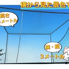 引き取り限定・東海岐阜県【庭設置OK】野球用バッティングネット 3m×3m×3m 自主練 　引退品の画像