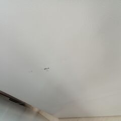 リユースのサカイ栃木店★ジモティ割あり★ Hisense 冷蔵庫 AT-RF160 162L 22年製 動作確認／クリーニング済み TC12036の画像