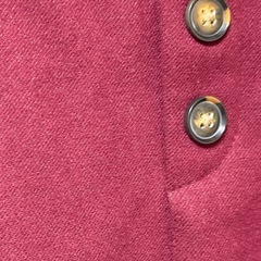 ボールドベルト付きタイトの画像