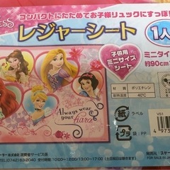 ディズニープリンセス　レジャーシートの画像