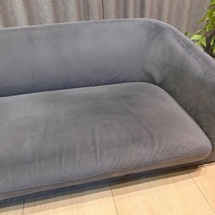 ソファ売りますの画像