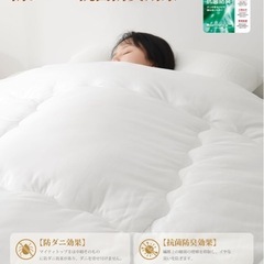 クモリ(Kumori) 掛け布団 セミダブル オールシーズンの画像