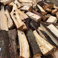 5000円薪、ヒバの木2台近い画像量価格、30から40センチくらいですの画像