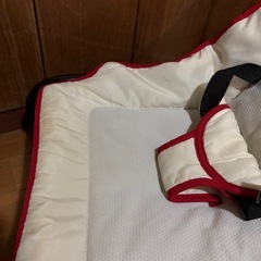 バウンサー
の画像